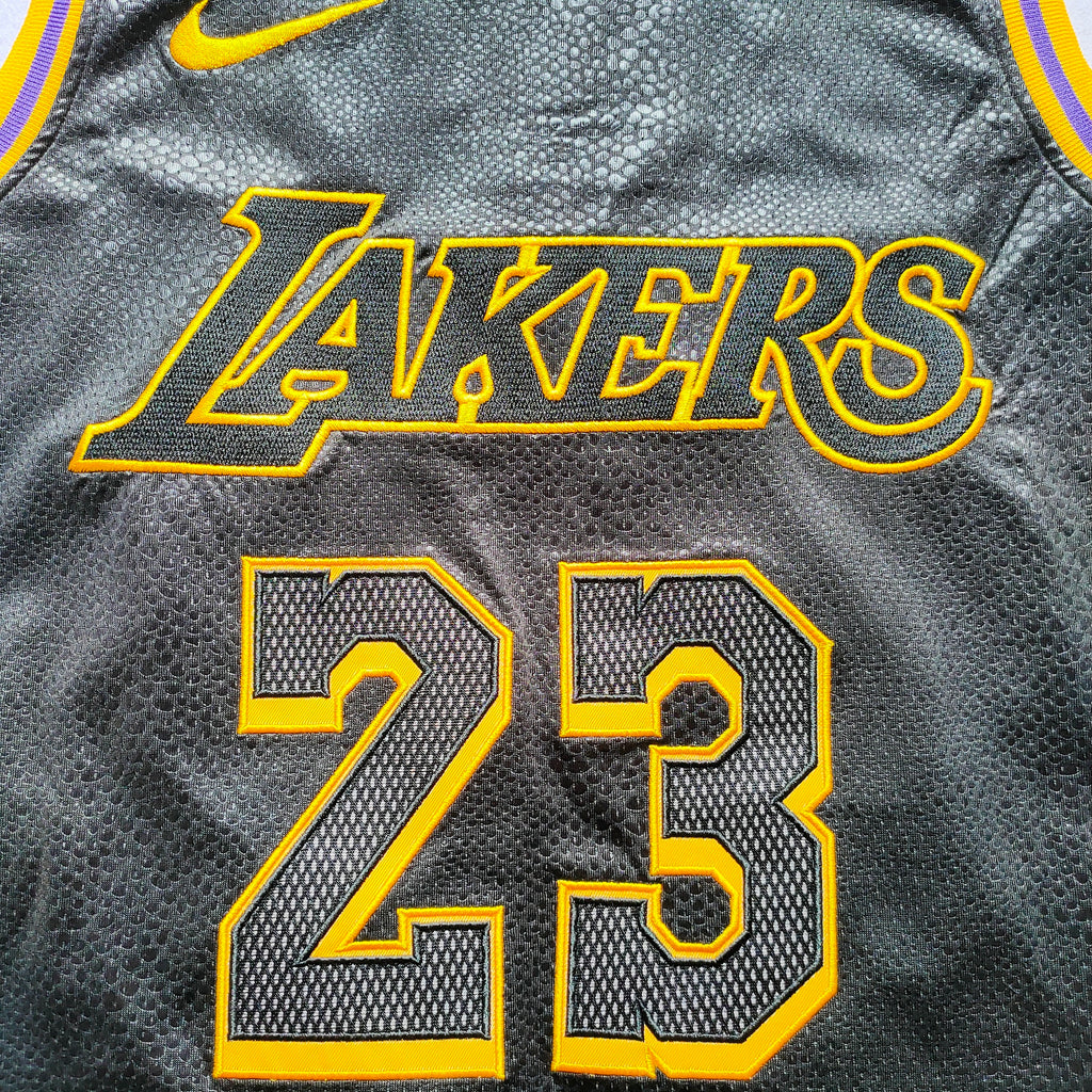 Lakers #23 LeBron James Snake Print City Edition Nike Jersey