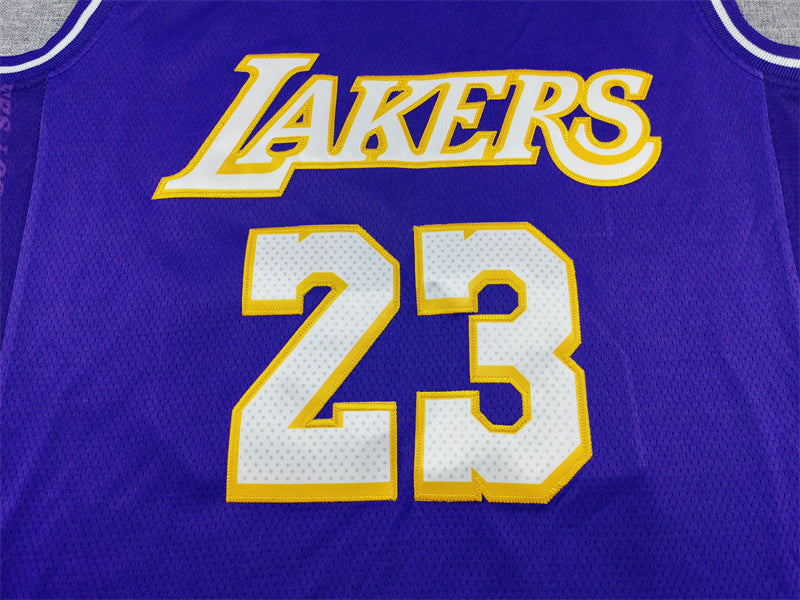 Los Angeles Lakers City Edition Purple Gold Fan Jersey